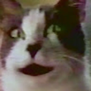 Meet your Posher, Ms.